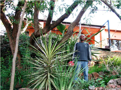 Lucky in his Melville garden