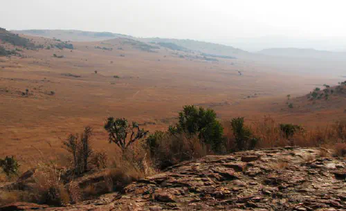 The Suikerbosrand