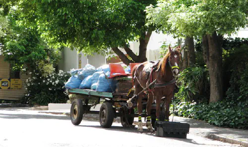 Horse-drawn rubbish collection cart