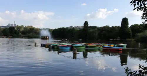 Paddle boats in Zoo Lake