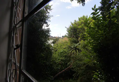Looking out the window