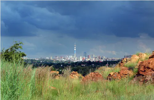View from Melville Koppies West