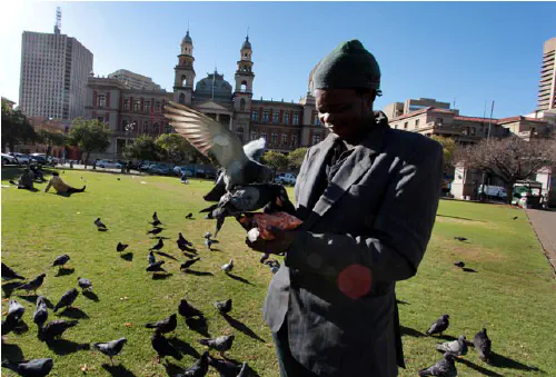 Philemon with pigeons in Pretoria Church Square
