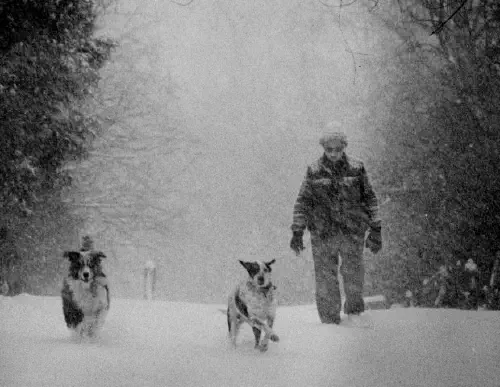 Old photo of my grandmother Cooncie and her dogs