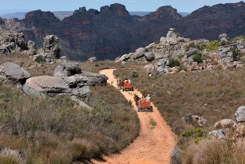 Riding on donkey carts in the Cederberg
