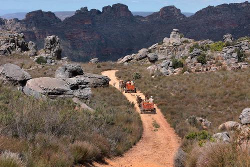 Riding on donkey carts in the Cederberg