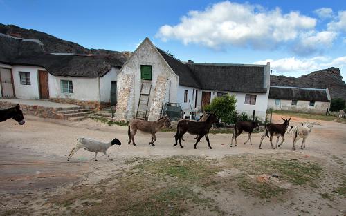 The village of Heuningvlei