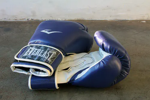 Boxing gloves