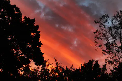 Crazy sunset from Melville