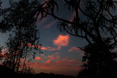 Melville fiery sky