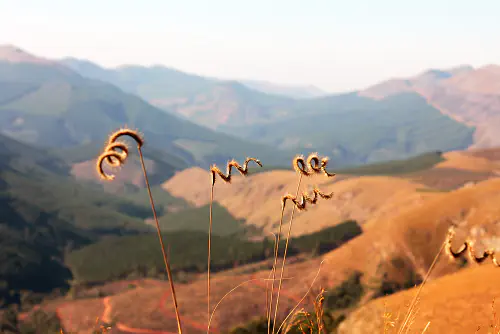 Mountains on the Wild Frontier