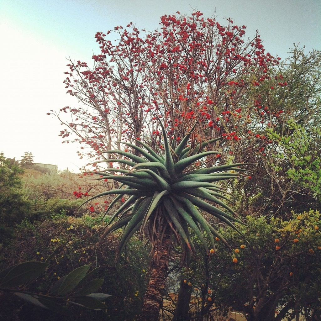 20120902-194833.jpg