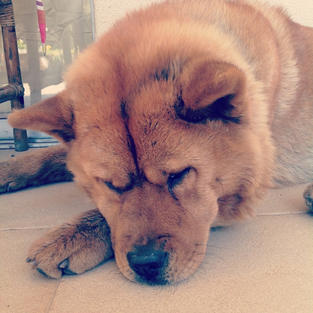 20120902-200427.jpg