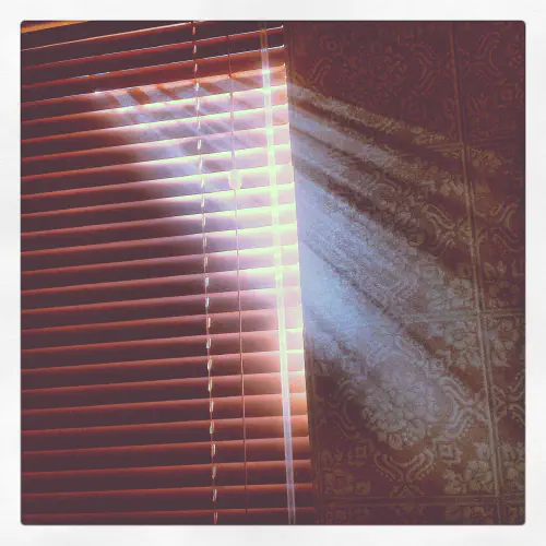Bathroom blinds