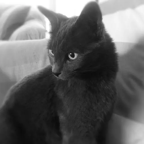 Smokey portrait