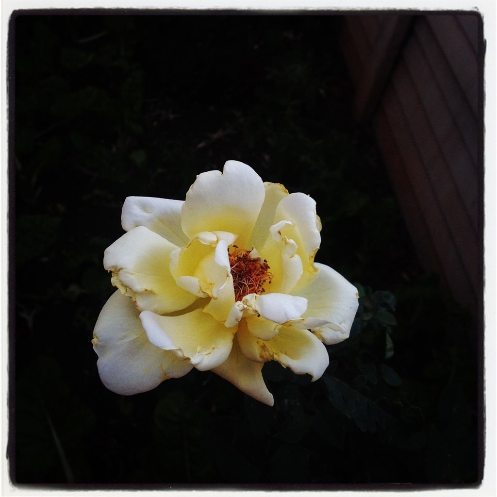 20121007-211852.jpg