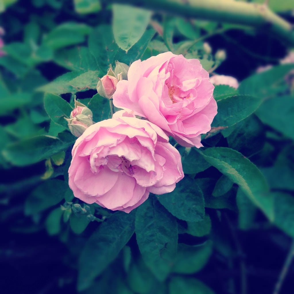 20121007-212001.jpg