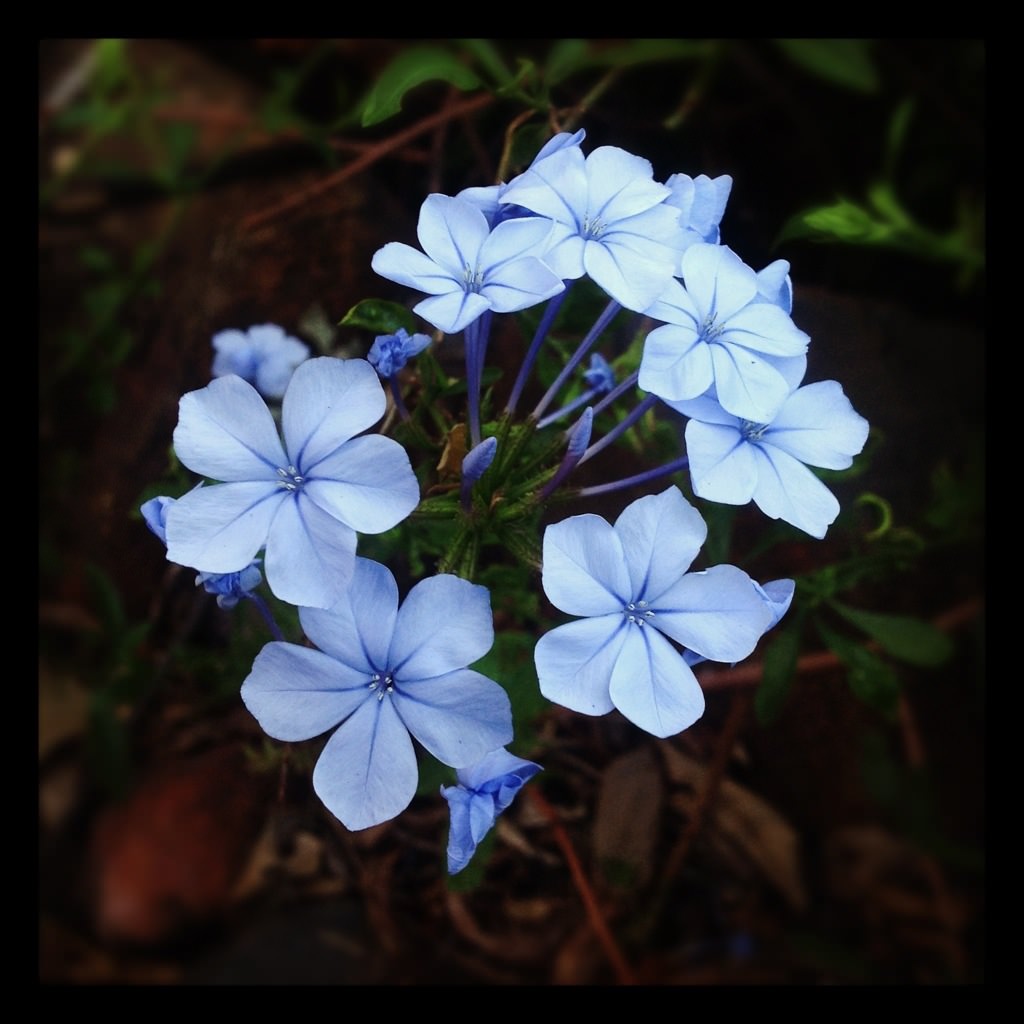 20121007-212028.jpg