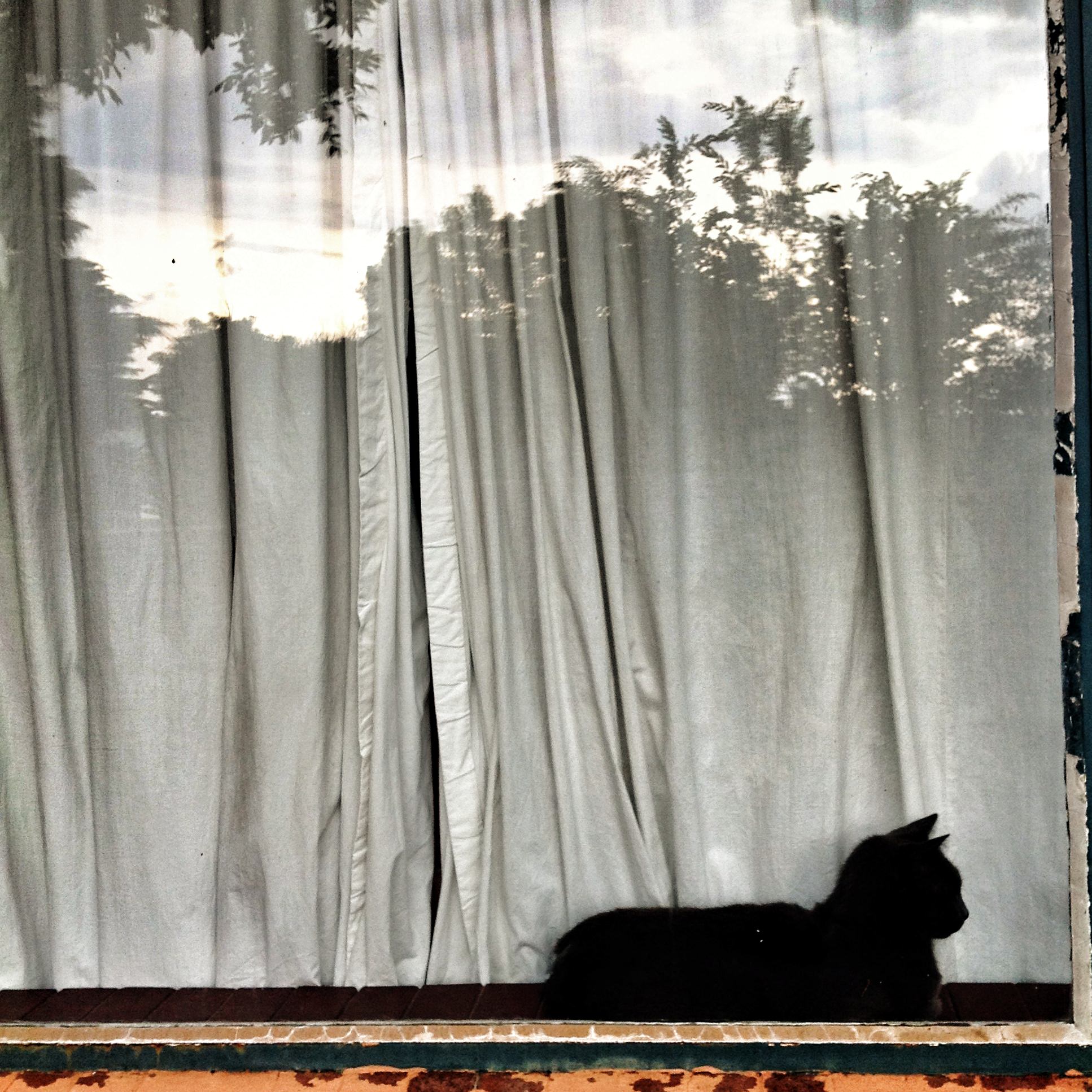 reflections
