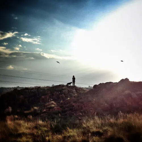 Lady and her dog on the Koppies