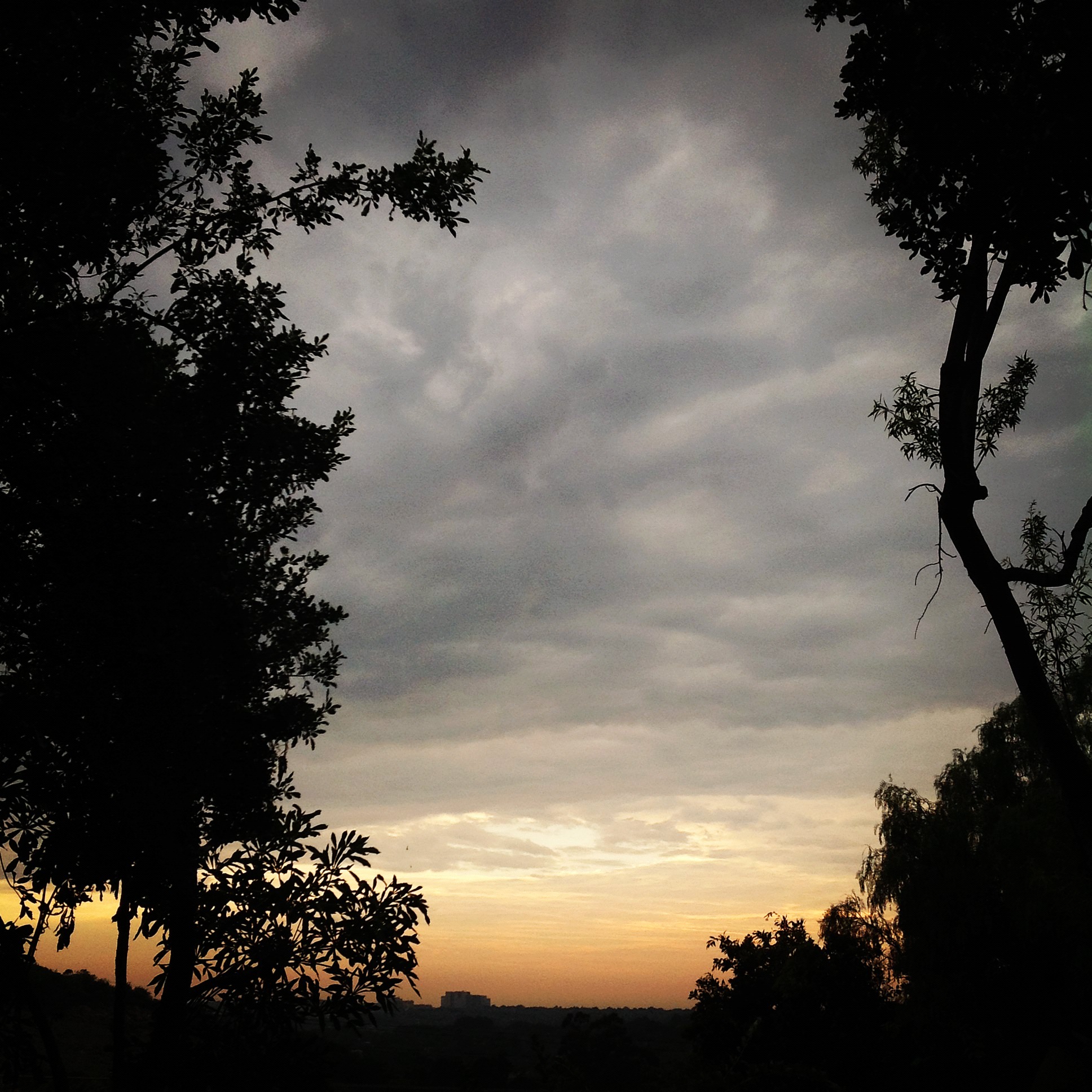 backyard clouds