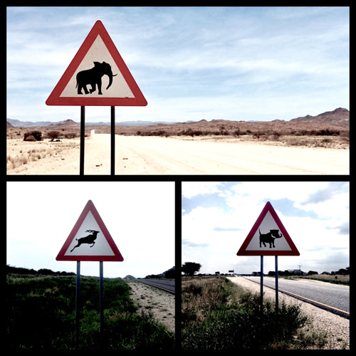 crossing collage