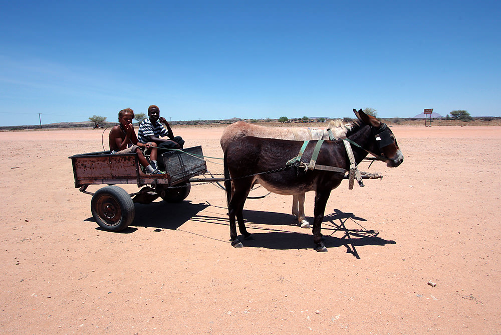 donkey cart