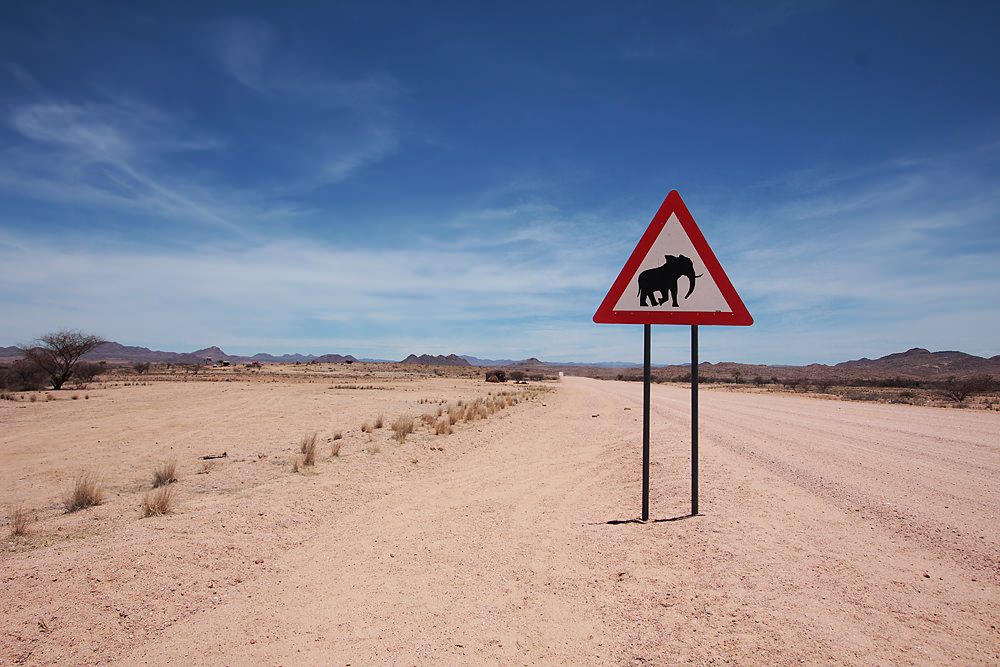 elephant crossing2