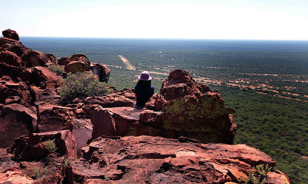 The View
