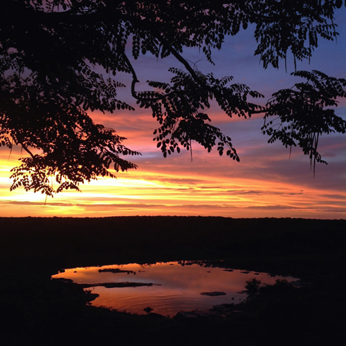 halali sunset