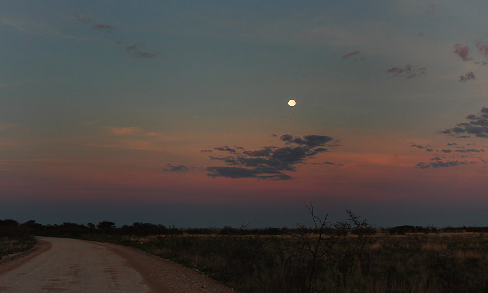 morning moon