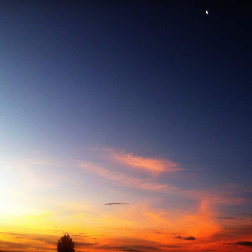 sunset from Circa