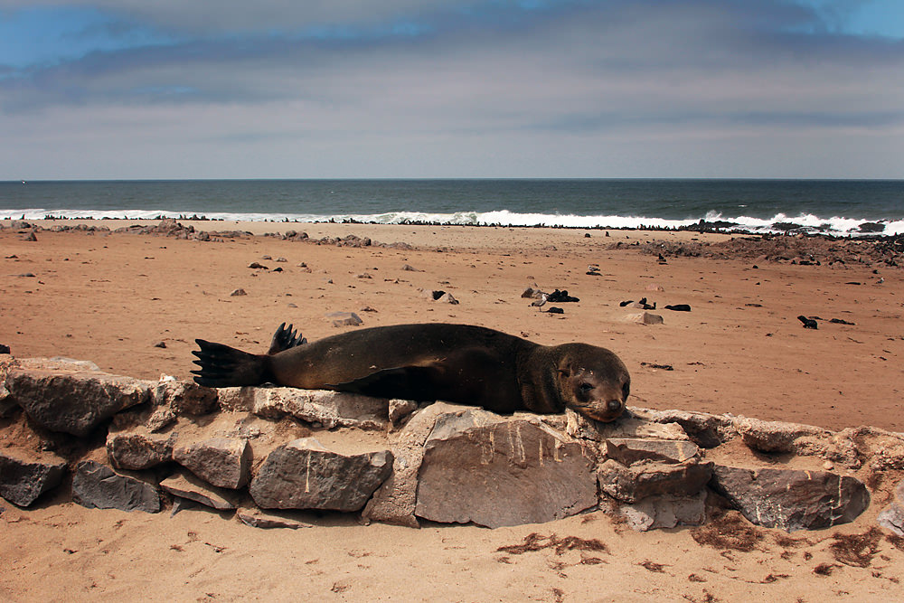 flat seal