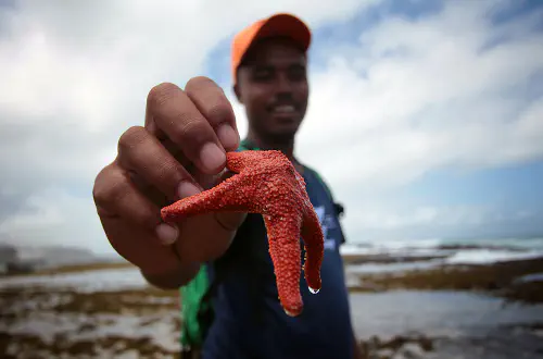 Dalfrenzo with a starfish