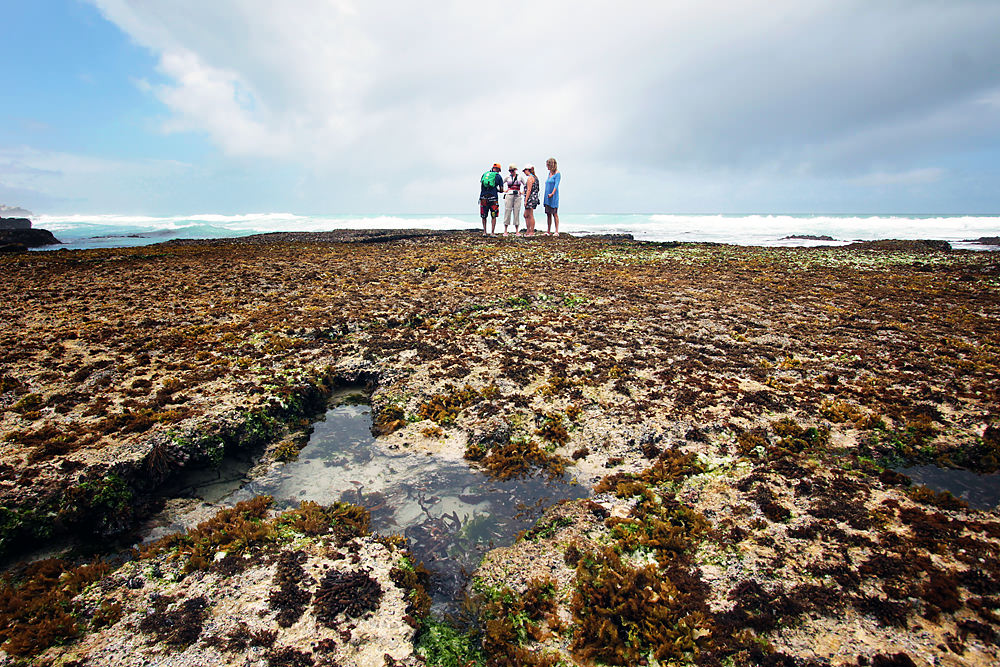 marine walk
