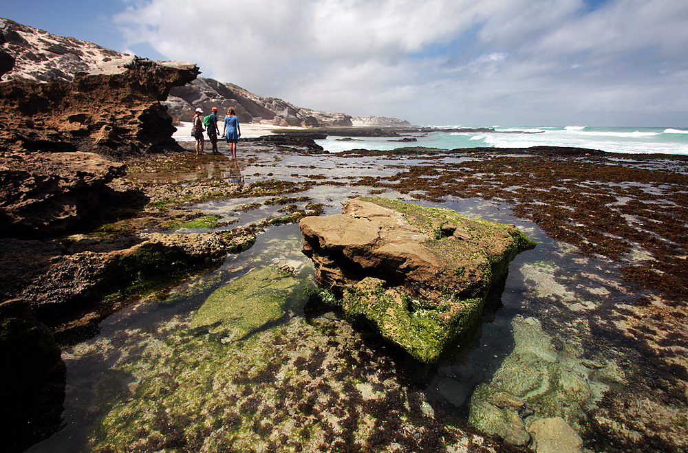 people under rocks