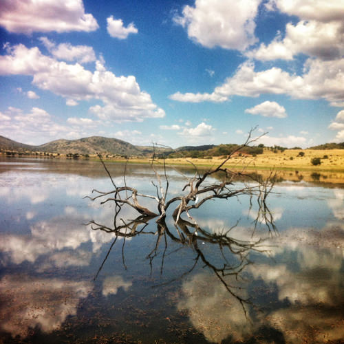 dam reflection