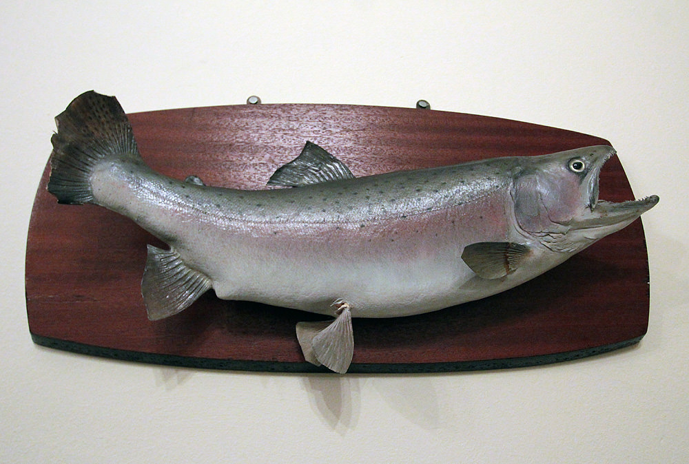 stuffed fish 1