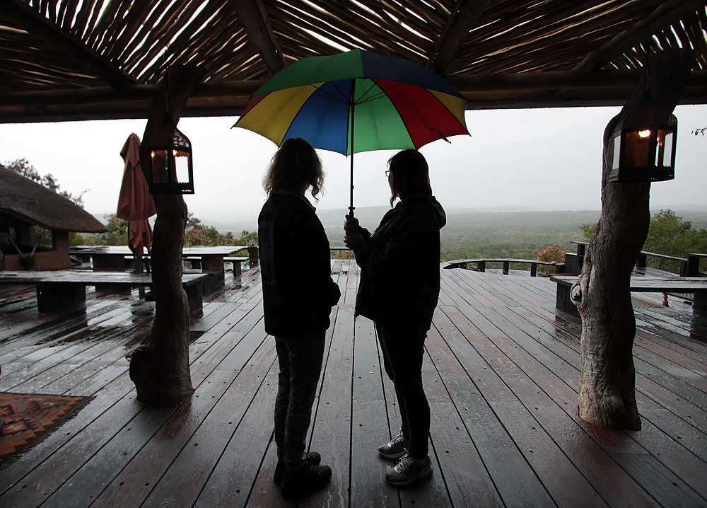 umbrella