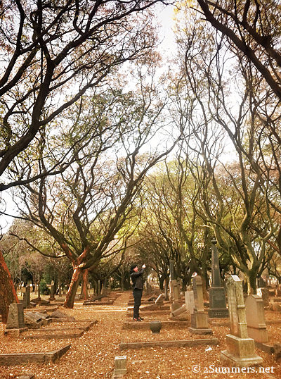 Roy in cemetery