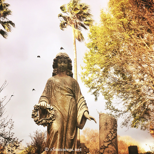 Statue and birds