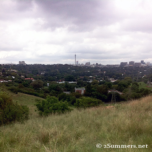 Koppies 29 Nov