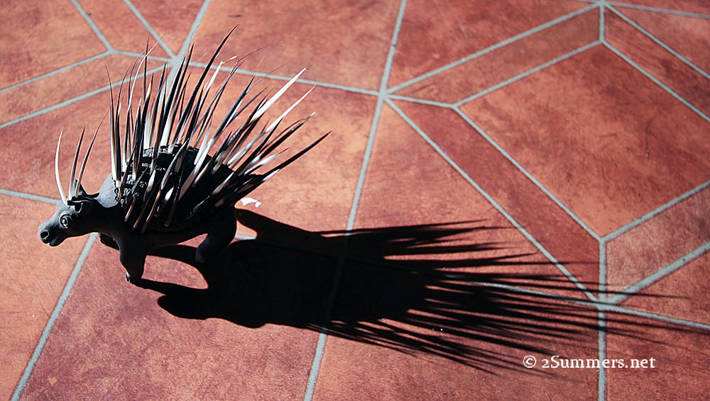 Bob the porcupine