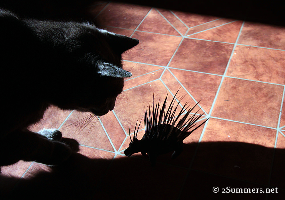Smokey meets Bob