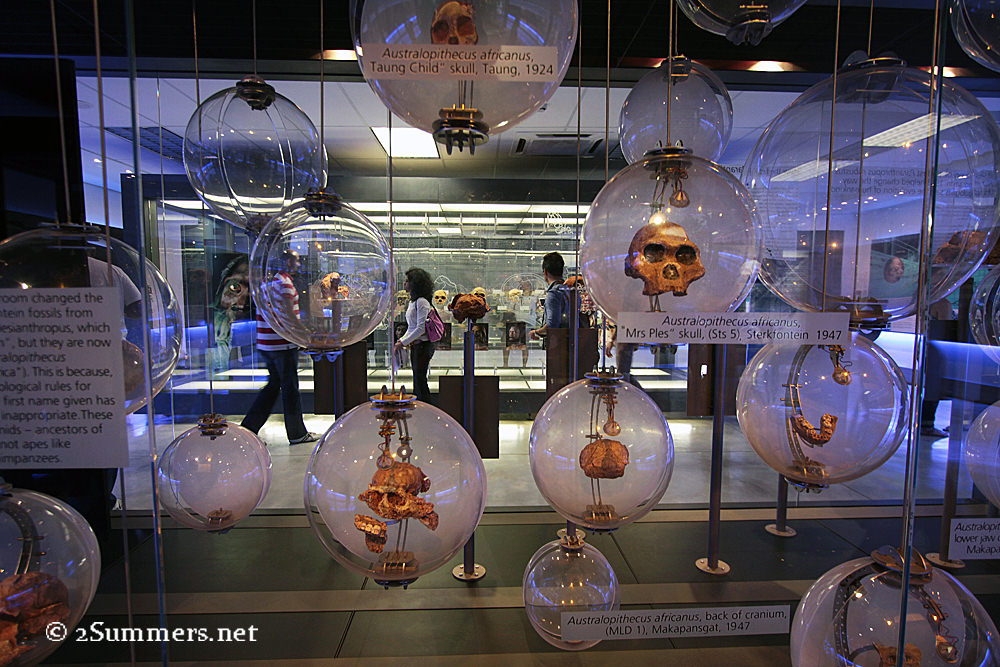 Sterkfontein museum