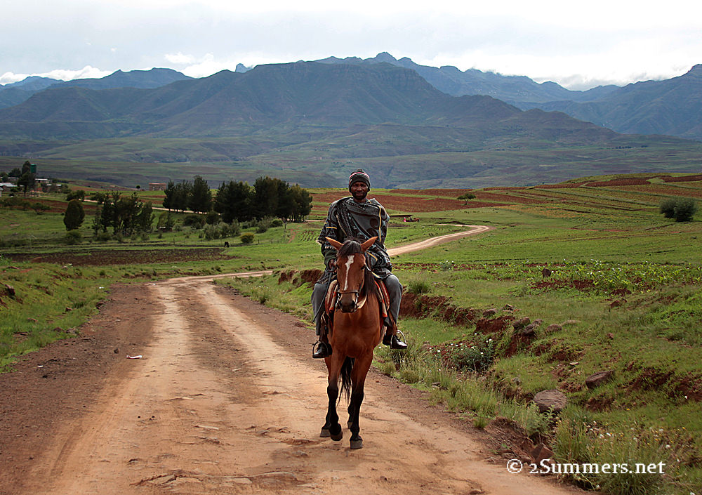 Man on horse