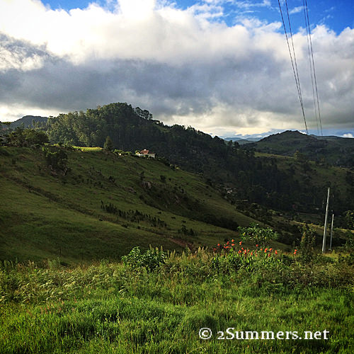 Green Swaziland