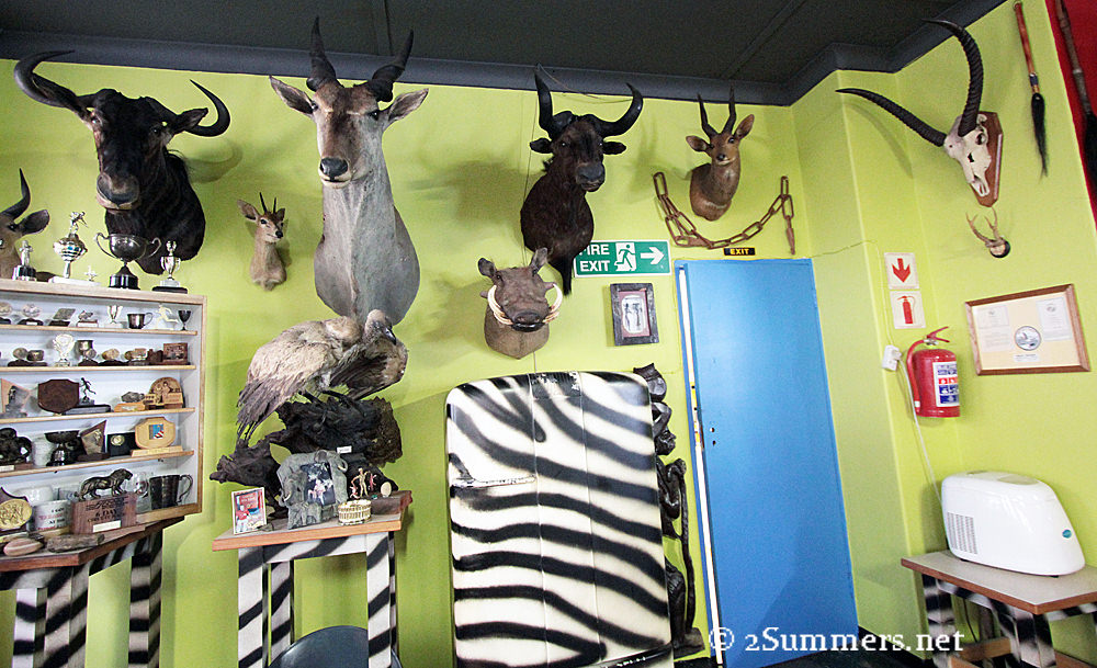 Zebra Inn