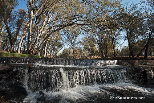 The spruit in Parkmore