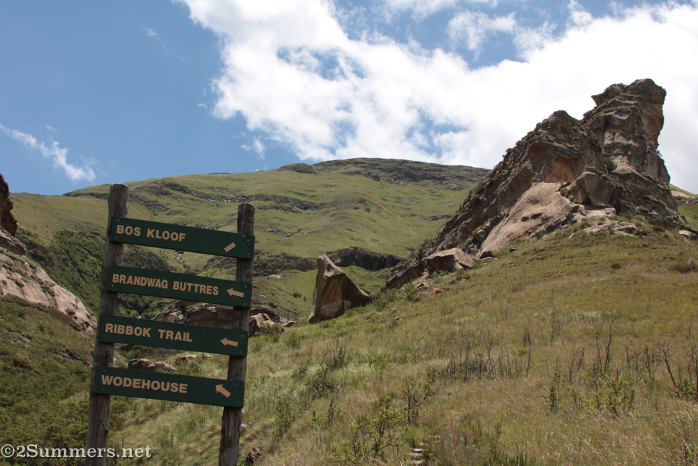 Trail markers